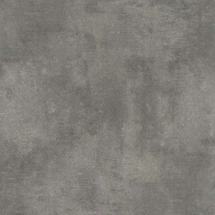 Лінолеум Lentex Pionieer Regina S95 604-04, 4