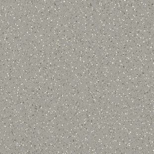 Лінолеум Lentex Pionieer Taco S93 602-13, 4