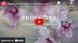 Матрац ЕММ Primavera Mio 140x190