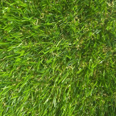 Штучна трава ecoGrass U 20