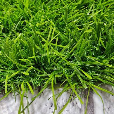 Штучна трава ecoGrass SD 35