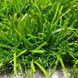 Штучна трава ecoGrass SD 35