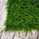 Штучна трава ecoGrass SD 35