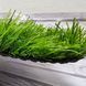 Штучна трава ecoGrass SD 35