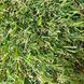 Штучна трава Condor Grass Admire 18