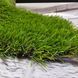Штучна трава CCGrass Soft 35