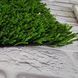 Штучна трава CCGrass CE 20