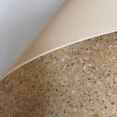 Лінолеум Beauflor Strong Plus Proxi 239L
