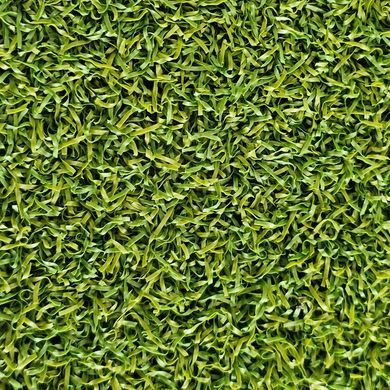 Штучна трава CCGrass Green E 12 sport