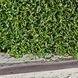 Штучна трава CCGrass Green E 12 sport