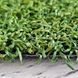 Штучна трава CCGrass Green E 12 sport