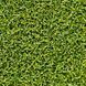 Штучна трава CCGrass Green E 12 sport