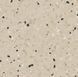 Лінолеум Tarkett Primo Premium 0631 Primo Sand, 2