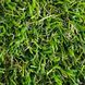 Штучна трава Turfgrass Alvira