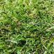 Штучна трава Bellinturf Rainbow 40