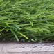 Штучна трава Bellinturf Bellin-Diamond 40150