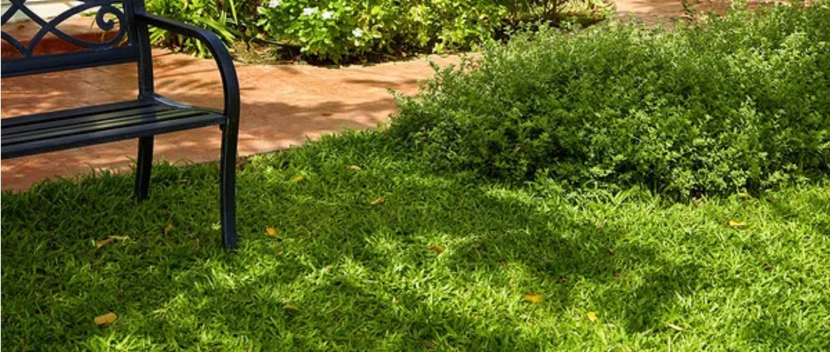 Condor Grass Apollo 25 artificial grass offer on eRavlyk